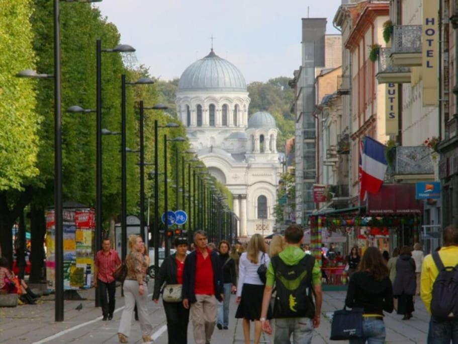 Modern Flat In Old Town Kaunas - Free Parking & Self Check-In מראה חיצוני תמונה